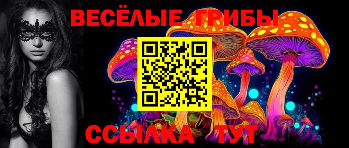 Тольятти  Псилоцибиновые грибы мицелий  купить  сайты  Псилоцибиновые грибы Psilocybine cubensis  Вход с VPN 