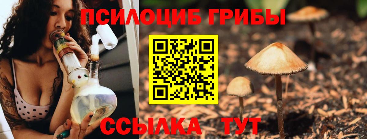 Псилоцибиновые грибы прущие грибы Тольятти